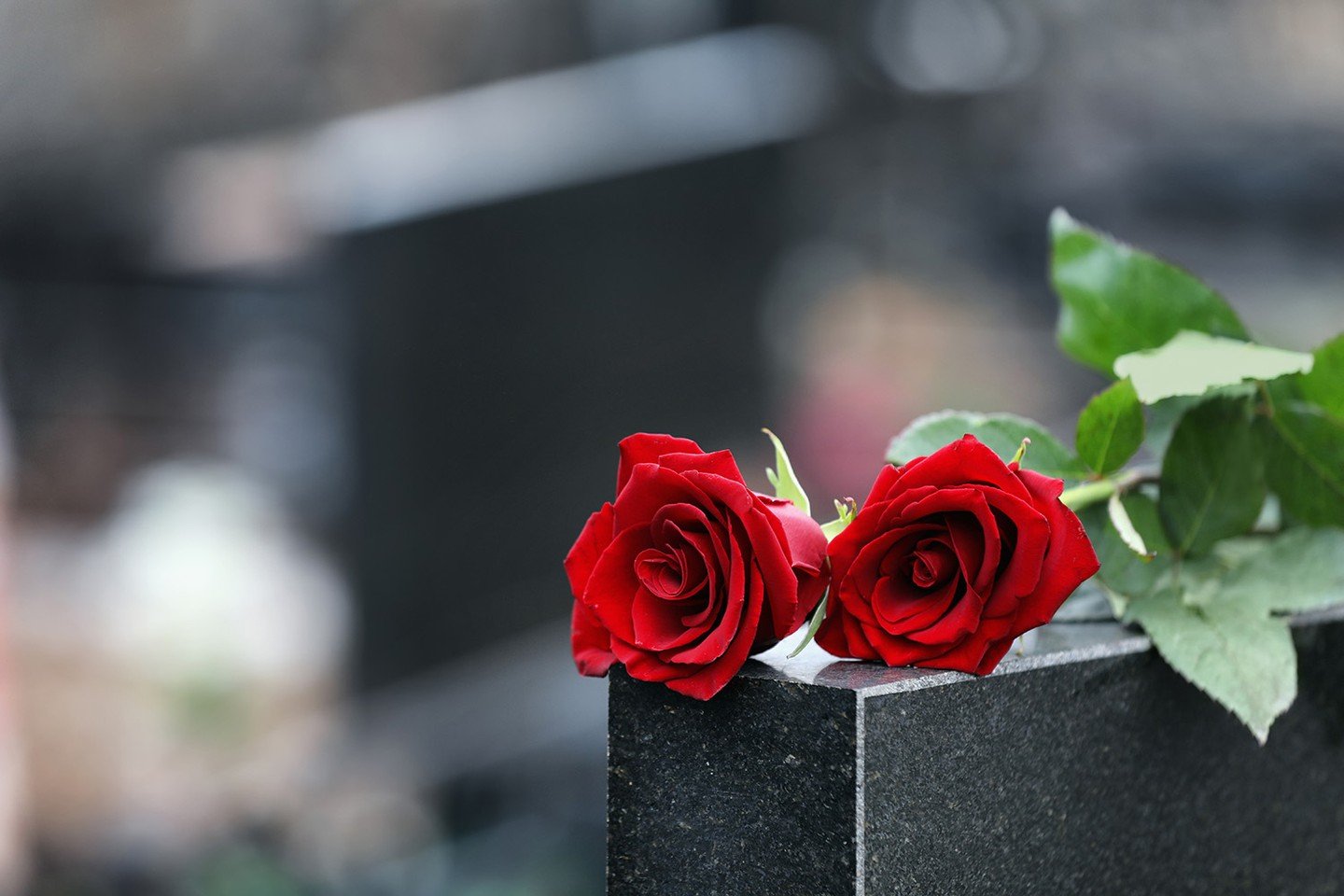 Paquetes Funerarios En Guadalajara