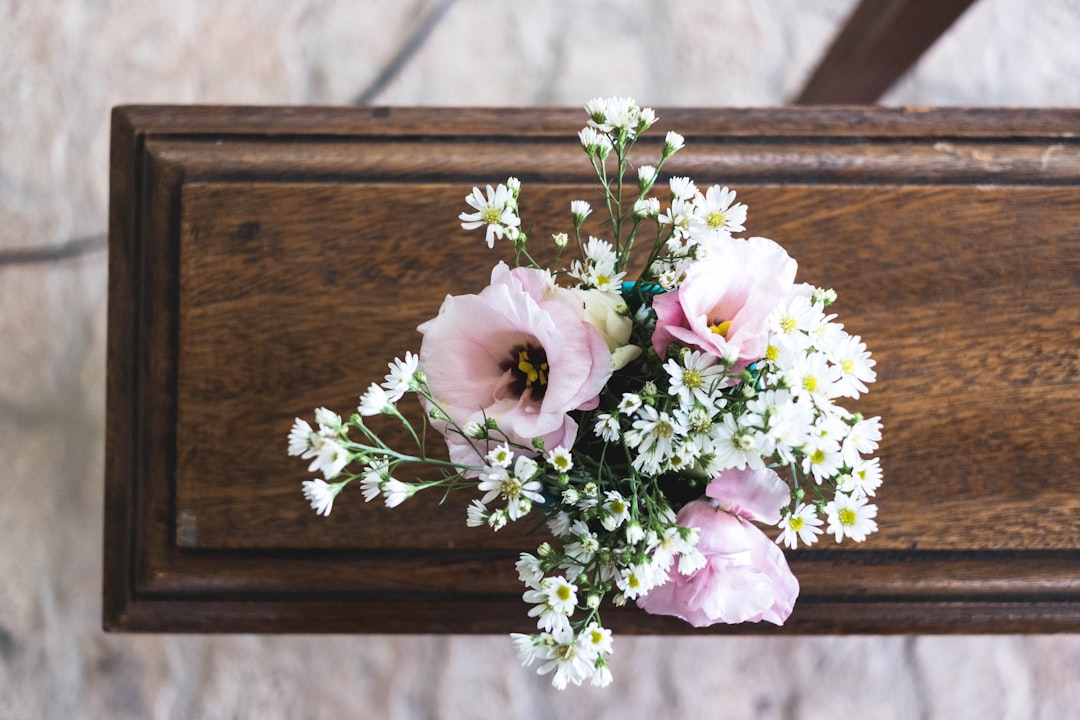 Photo by Mayron Oliveira pink and white flowers
